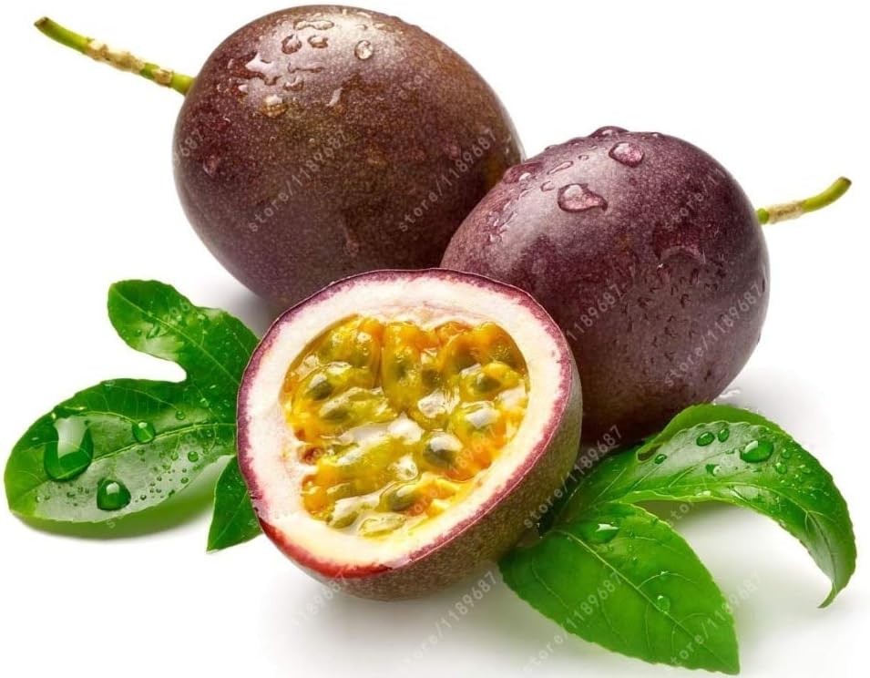 Purple passion fruit Passiflora edulis seeds for trellis garden